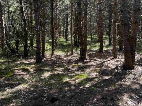 Tiny photo for 80 AC 13th Ct Acres, Nekoosa, WI 54457 (MLS # 2009953)