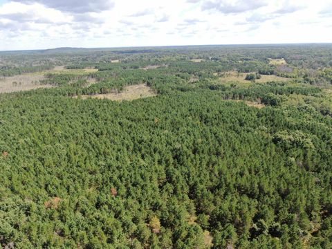 Tiny photo for 80 AC 13th Ct Acres, Nekoosa, WI 54457 (MLS # 2009953)