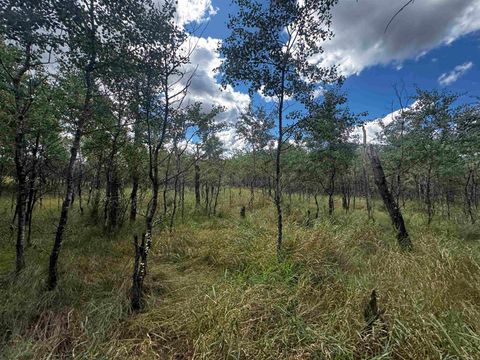 Tiny photo for 80 AC 13th Ct Acres, Nekoosa, WI 54457 (MLS # 2009953)