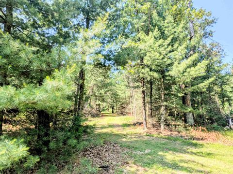 Photo of 1031 Edgewood Avenue, Adams, WI 53910 (MLS # 2002688)