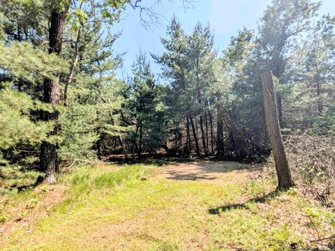 Tiny photo for 1031 Edgewood Avenue, Adams, WI 53910 (MLS # 2002688)