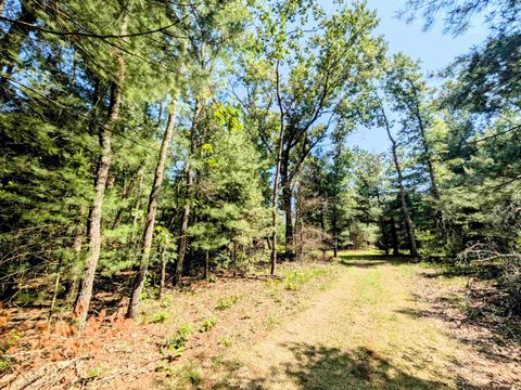 Tiny photo for 1031 Edgewood Avenue, Adams, WI 53910 (MLS # 2002688)
