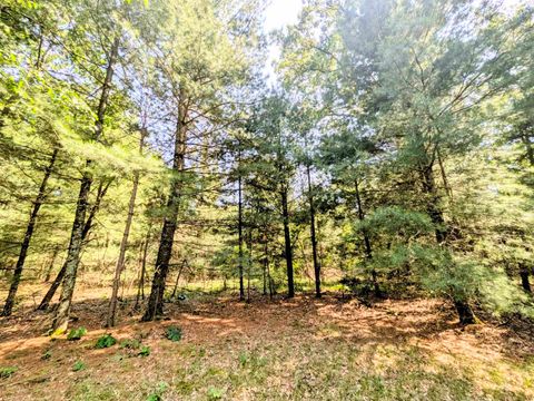 Tiny photo for 1031 Edgewood Avenue, Adams, WI 53910 (MLS # 2002688)
