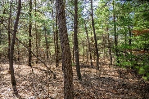 Photo of Lot 2 19th Avenue, Necedah, WI 54646 (MLS # 2020965)