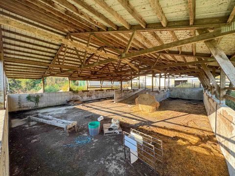 Tiny photo for 29000 Monarch Ave. Avenue, Kendall, WI 54638 (MLS # 2012992)