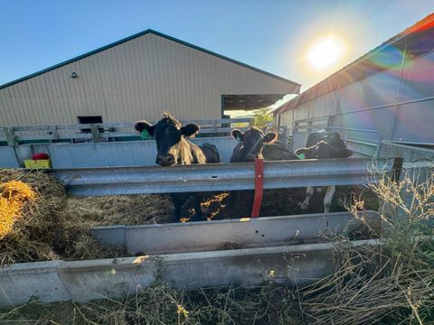 Tiny photo for 29000 Monarch Ave. Avenue, Kendall, WI 54638 (MLS # 2012992)