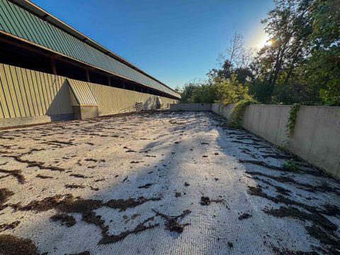 Tiny photo for 29000 Monarch Ave. Avenue, Kendall, WI 54638 (MLS # 2012992)