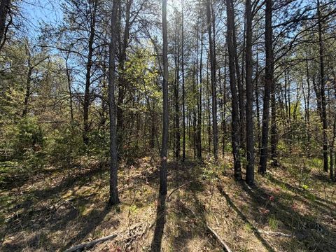 Photo of 1.52 Acres Queens Way, Necedah, WI 54646 (MLS # 2023567)