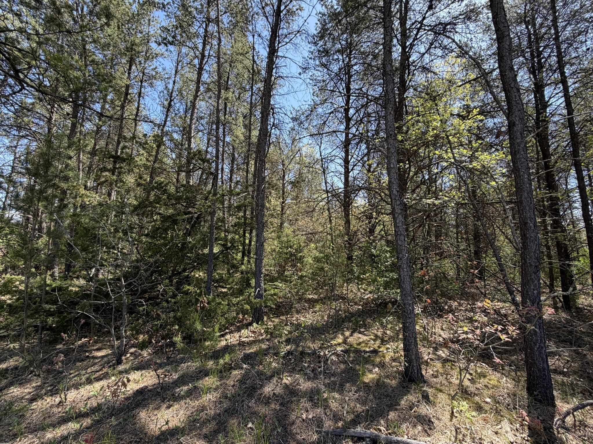 1.52 Acres Queens Way