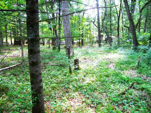 Tiny photo for W4643 S Pearl Lake Road, Redgranite, WI 54970 (MLS # 2005824)