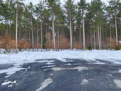 Photo of Lot 28 19th, Friendship, WI 53934 (MLS # 2018766)