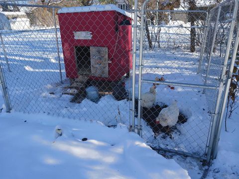 Tiny photo for 112 N 3rd Street, Evansville, WI 53536 (MLS # 2013437)