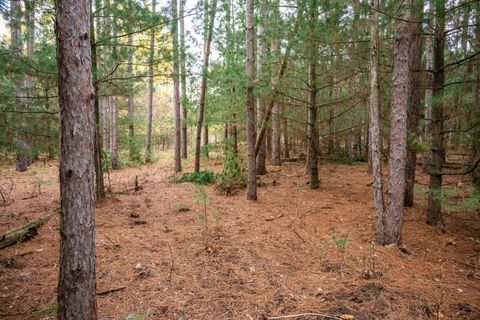 Tiny photo for Lot 87 20th Avenue, Arkdale, WI 54613 (MLS # 2011095)