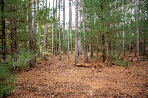Tiny photo for Lot 87 20th Avenue, Arkdale, WI 54613 (MLS # 2011095)