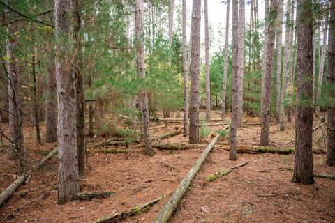 Tiny photo for Lot 87 20th Avenue, Arkdale, WI 54613 (MLS # 2011095)