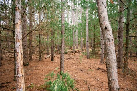 Tiny photo for Lot 87 20th Avenue, Arkdale, WI 54613 (MLS # 2011095)