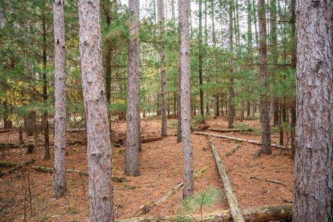 Tiny photo for Lot 87 20th Avenue, Arkdale, WI 54613 (MLS # 2011095)