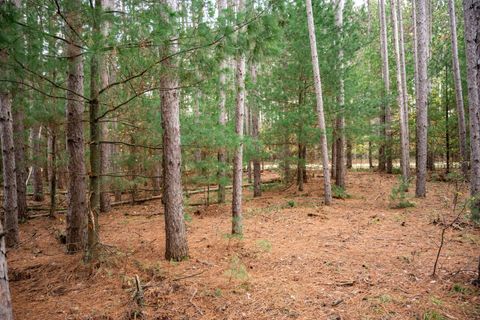 Tiny photo for Lot 87 20th Avenue, Arkdale, WI 54613 (MLS # 2011095)
