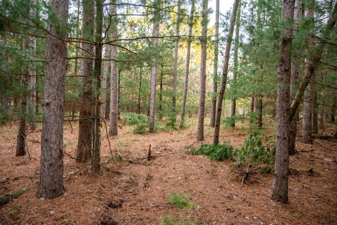 Tiny photo for Lot 87 20th Avenue, Arkdale, WI 54613 (MLS # 2011095)