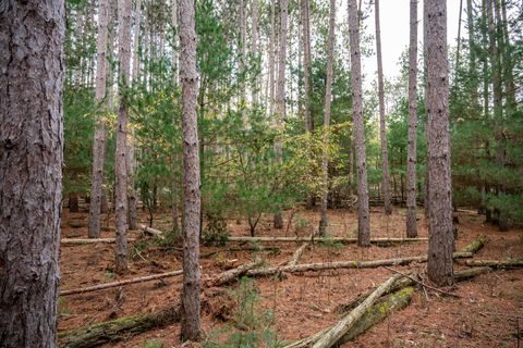 Tiny photo for Lot 87 20th Avenue, Arkdale, WI 54613 (MLS # 2011095)