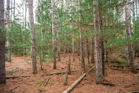 Tiny photo for Lot 87 20th Avenue, Arkdale, WI 54613 (MLS # 2011095)