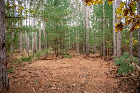 Tiny photo for Lot 87 20th Avenue, Arkdale, WI 54613 (MLS # 2011095)