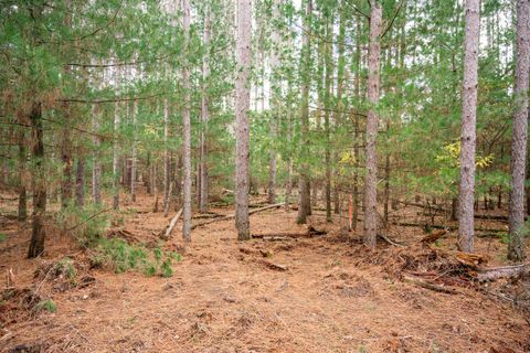 Tiny photo for Lot 87 20th Avenue, Arkdale, WI 54613 (MLS # 2011095)
