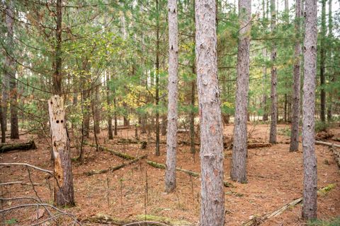 Tiny photo for Lot 87 20th Avenue, Arkdale, WI 54613 (MLS # 2011095)