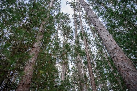 Tiny photo for Lot 87 20th Avenue, Arkdale, WI 54613 (MLS # 2011095)