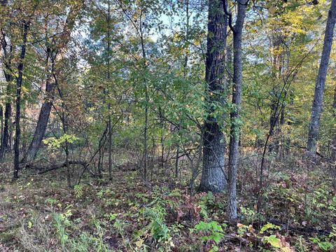 Tiny photo for 80 Ac County Road G, Hancock, WI 54943 (MLS # 2007571)