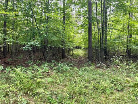Tiny photo for 80 Ac County Road G, Hancock, WI 54943 (MLS # 2007571)