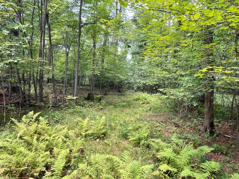 Tiny photo for 80 Ac County Road G, Hancock, WI 54943 (MLS # 2007571)