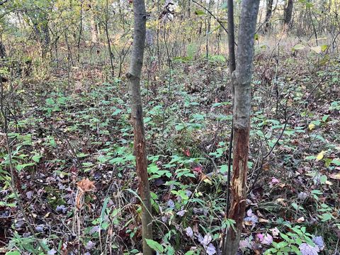 Tiny photo for 80 Ac County Road G, Hancock, WI 54943 (MLS # 2007571)