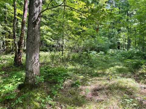 Tiny photo for 80 Ac County Road G, Hancock, WI 54943 (MLS # 2007571)