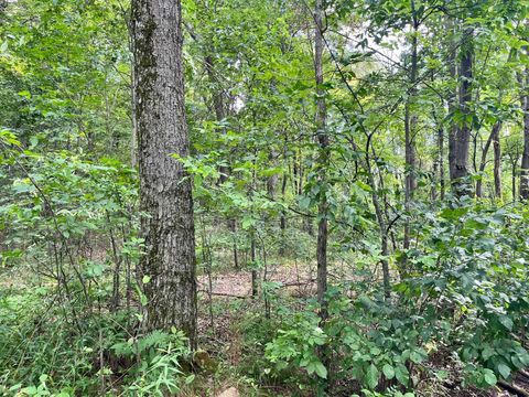 Tiny photo for 80 Ac County Road G, Hancock, WI 54943 (MLS # 2007571)