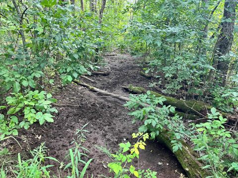 Tiny photo for 80 Ac County Road G, Hancock, WI 54943 (MLS # 2007571)