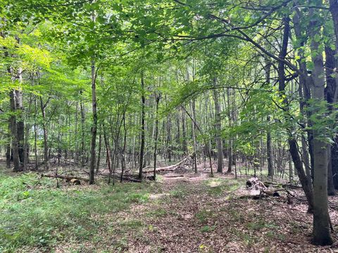 Tiny photo for 80 Ac County Road G, Hancock, WI 54943 (MLS # 2007571)