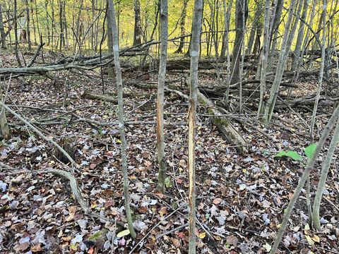 Tiny photo for 80 Ac County Road G, Hancock, WI 54943 (MLS # 2007571)