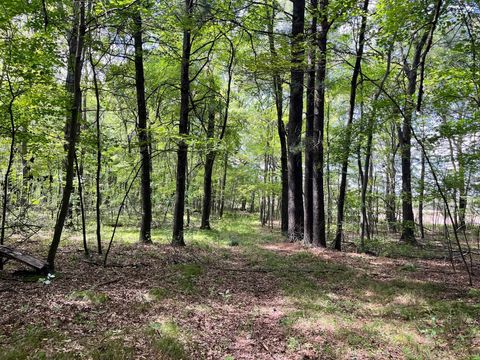 Tiny photo for 80 Ac County Road G, Hancock, WI 54943 (MLS # 2007571)