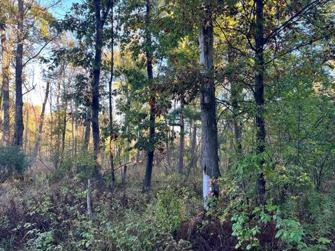 Tiny photo for 80 Ac County Road G, Hancock, WI 54943 (MLS # 2007571)