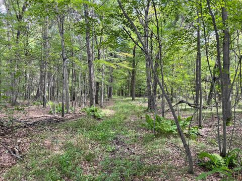 Tiny photo for 80 Ac County Road G, Hancock, WI 54943 (MLS # 2007571)