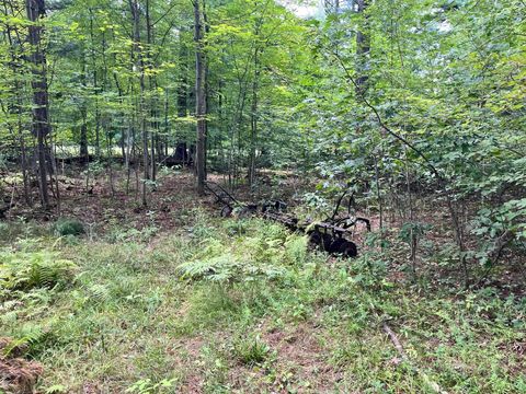 Tiny photo for 80 Ac County Road G, Hancock, WI 54943 (MLS # 2007571)