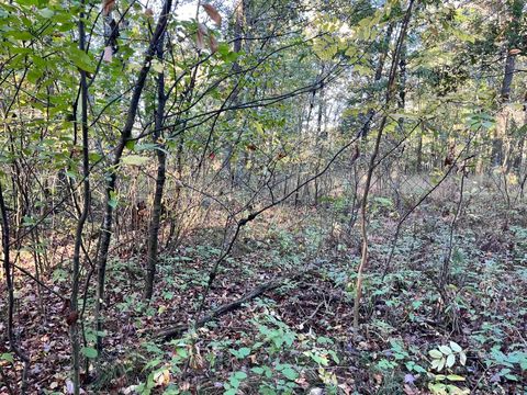 Tiny photo for 80 Ac County Road G, Hancock, WI 54943 (MLS # 2007571)