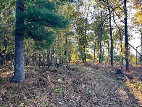 Tiny photo for 80 Ac County Road G, Hancock, WI 54943 (MLS # 2007571)