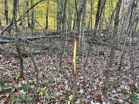 Tiny photo for 80 Ac County Road G, Hancock, WI 54943 (MLS # 2007571)