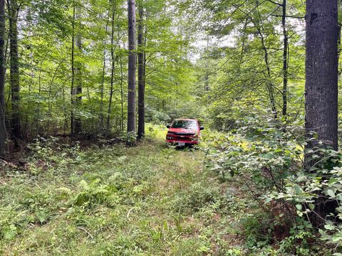 Tiny photo for 80 Ac County Road G, Hancock, WI 54943 (MLS # 2007571)