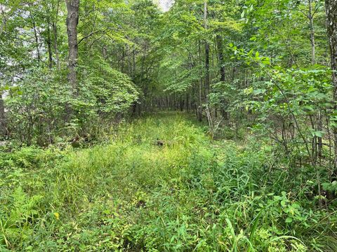 Tiny photo for 80 Ac County Road G, Hancock, WI 54943 (MLS # 2007571)