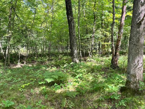 Tiny photo for 80 Ac County Road G, Hancock, WI 54943 (MLS # 2007571)