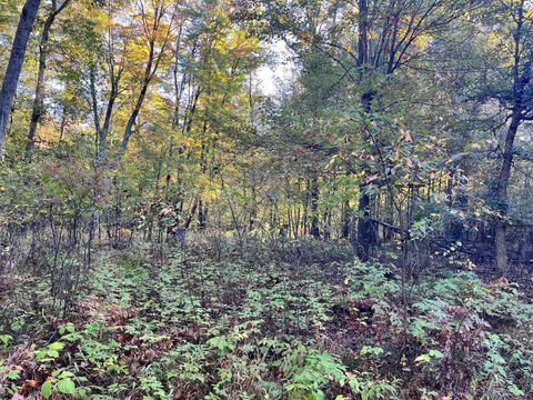 Tiny photo for 80 Ac County Road G, Hancock, WI 54943 (MLS # 2007571)