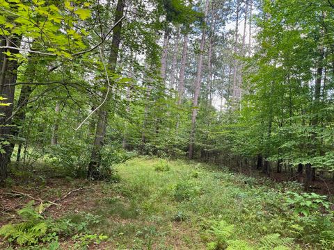 Photo of 80 Ac County Road G, Hancock, WI 54943 (MLS # 2007571)